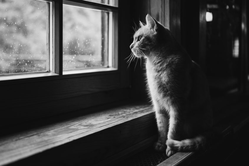 Sesja plenerowa Karpacz. Sesja plenerowa schronisko Samotnia. Zdjęcia ślubne Karpacz. Sesja plenerowa w górach.